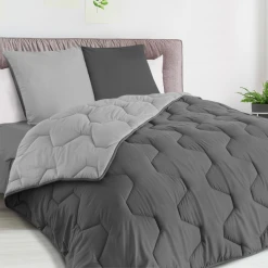 Idmarket Couette 220x240 CM ABBY Bicolore Gris Clair Et Gris 300 Gr + 2 Oreille...