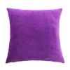 Marque Generique Housse De Coussin Décorative Velours Housse De Coussin Taie D'oreille... 1 Marque Generique Housse De Coussin Décorative Velours Housse De Coussin Taie D'oreille... -Talamo Magasin image
