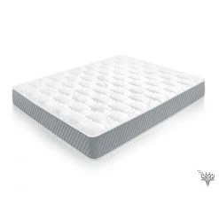 Dreams Unlimited MATELAS MOUSSE ACCUEIL MEMOIRE DE FORME 160X200 CM SERENITE 23 Cm
