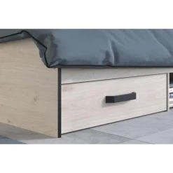 PARISOT - Zodiac Lit Adulte Industriel 140x190 Cm - Décor Chêne Et N... -Talamo Magasin parisot zodiac lit adulte industriel 140x190 cm decor chene et noir 10636978 27676996 1140x1140